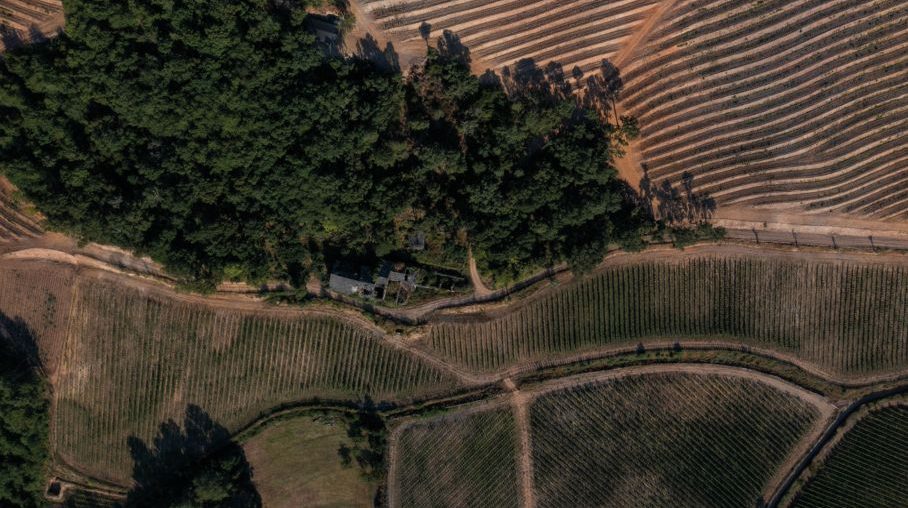 DESCUBRIENDO LA BODEGA CASA DE OUTEIRO: UN VIAJE ENTRE VIÑEDOS