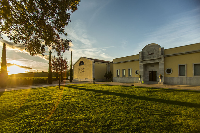 Bodegas del Jaro en AV Vinos