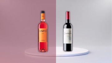 SINFO Y CHAFANDÍN, DOS DE LOS MEJORES VINOS DE ESPAÑA, ¡Y LOS TENEMOS EN AV VINOS!
