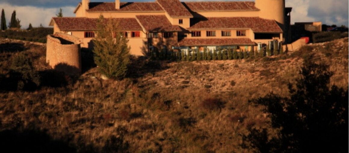Hay lugares donde el vino decide quién quiere ser: AV Vinos incorpora Terraselecta, un viaje por los grandes territorios del vino español